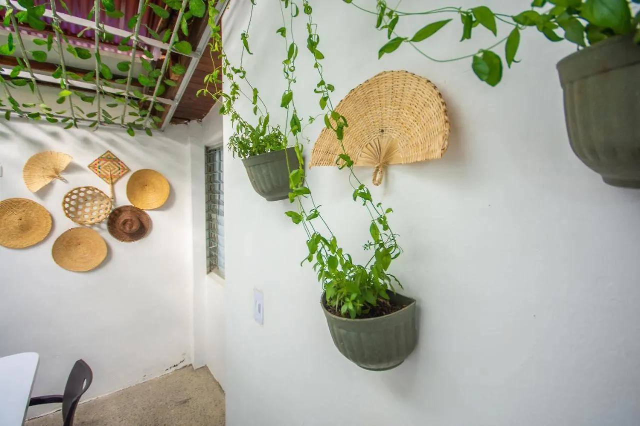 Spring Hostel Medellin