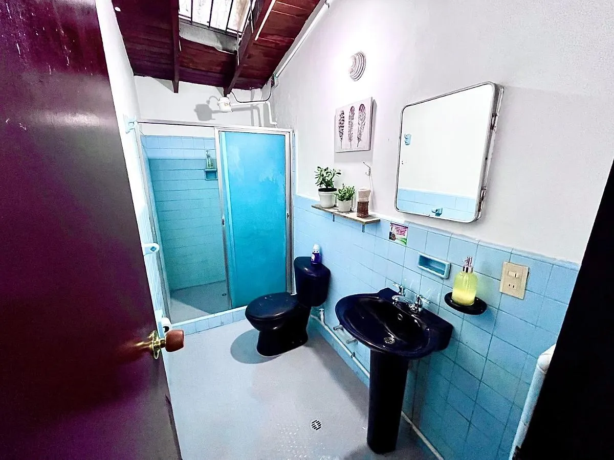 Spring Hostel Medellin