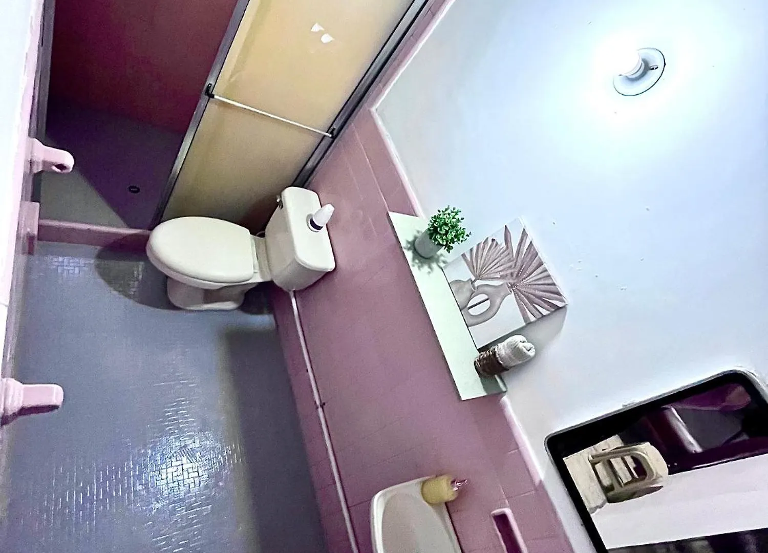 Spring Hostel Medellin Colombia