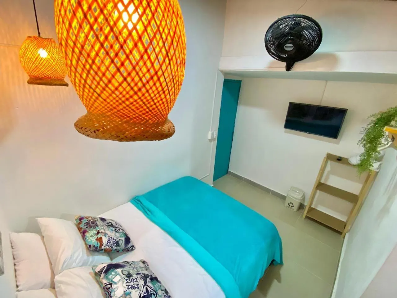Spring Hostel Medellin Colombia