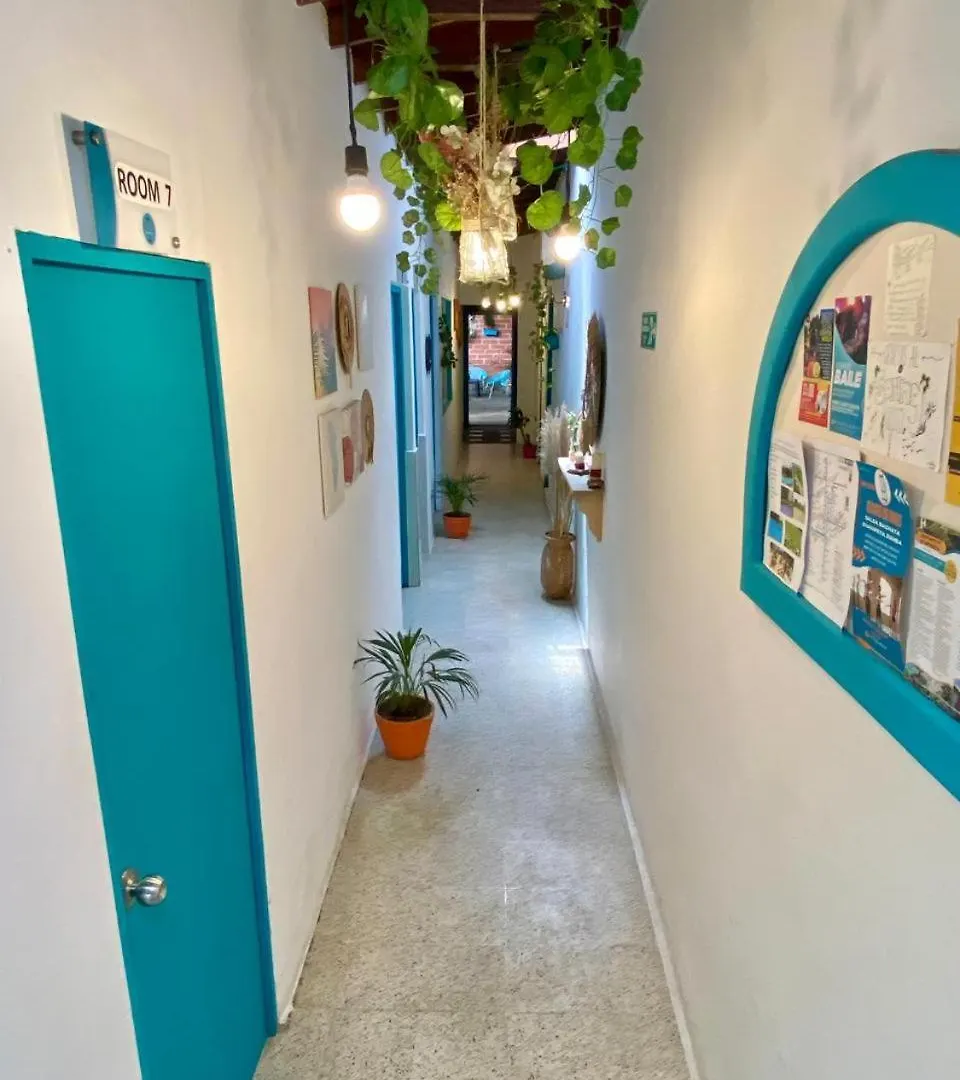 Spring Hostel Medellin