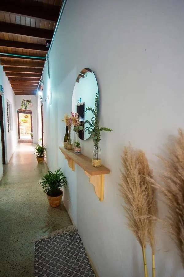 Spring Hostel Medellin