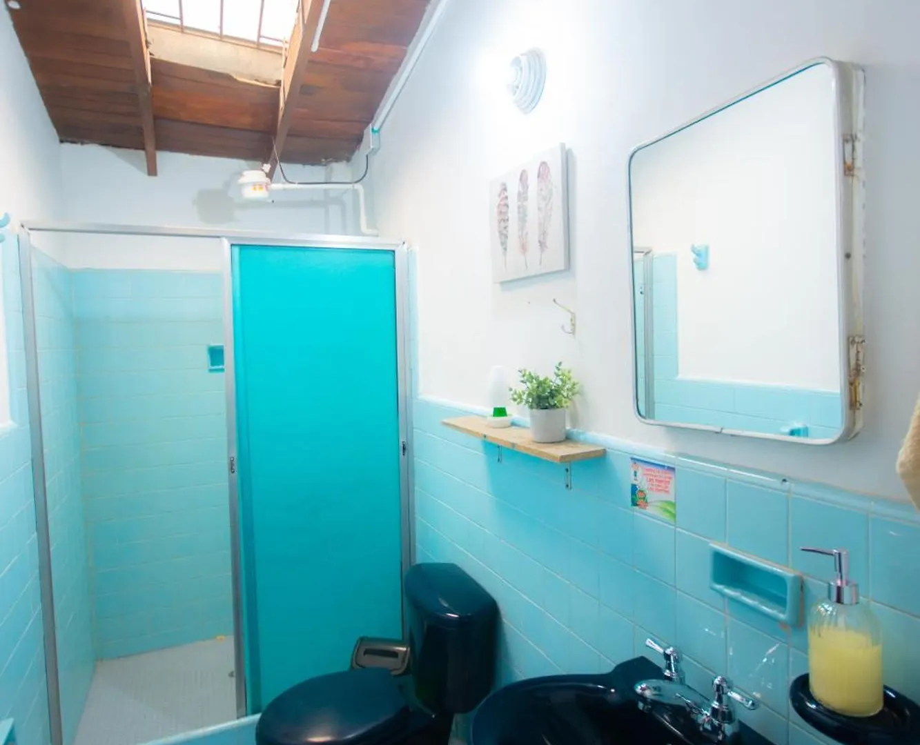 Spring Hostel Medellin Colombia