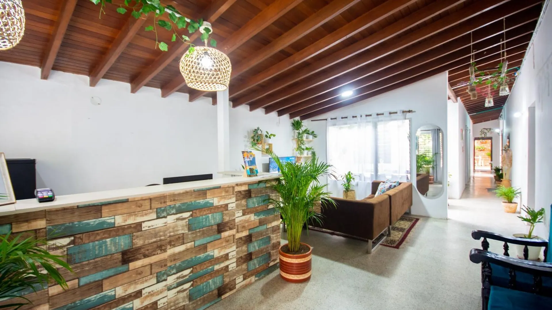 Spring Hostel Medellin