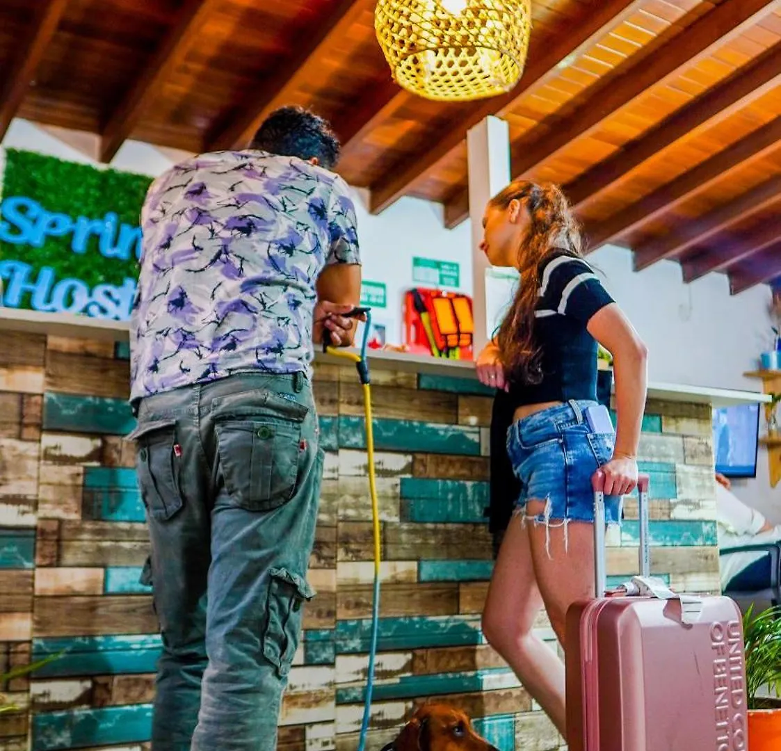 Spring Hostel Medellin